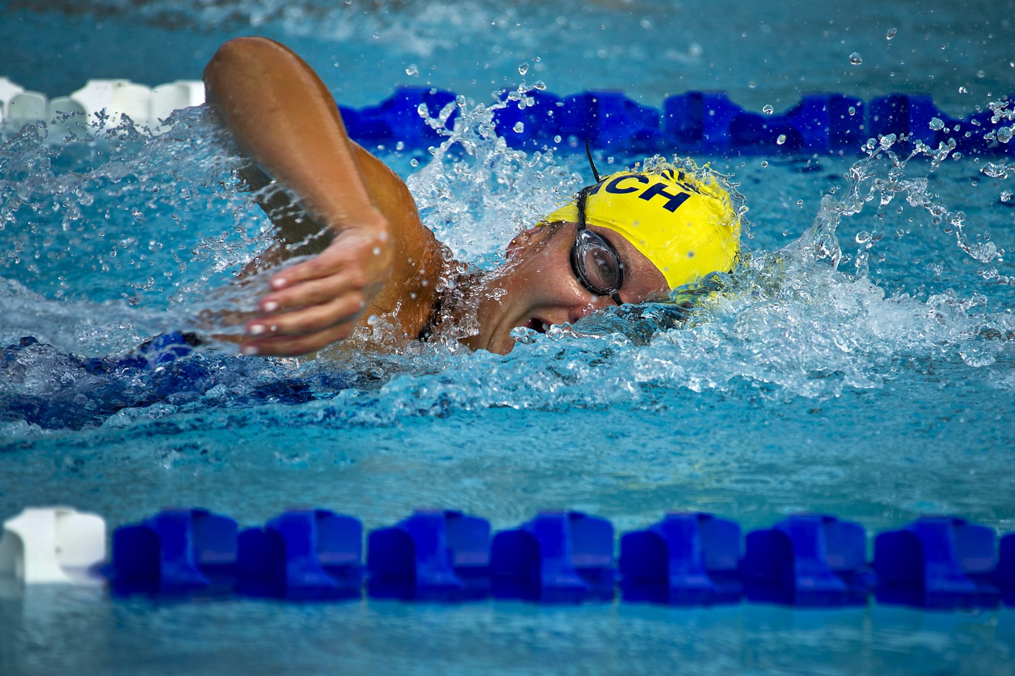 swimming-swimmer-female-race-73760
